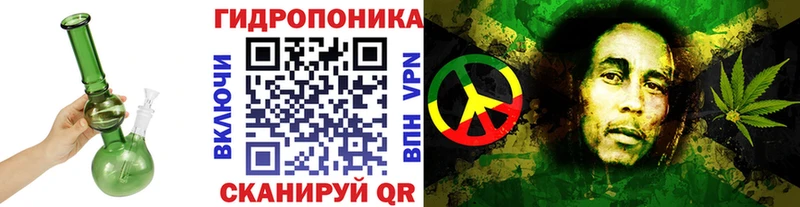 Где купить наркотики Удомля Codein  Меф  Каннабис 