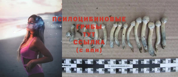 MESCALINE Кодинск