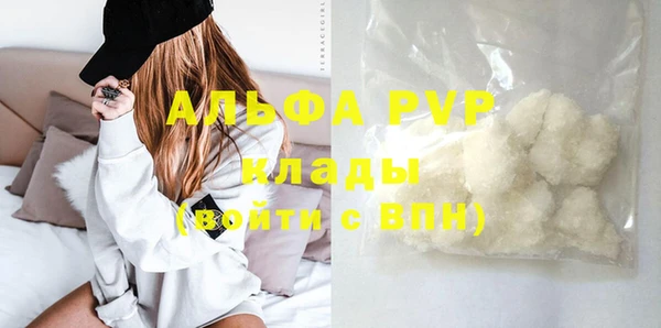 трава Корсаков
