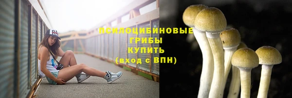 мдма Коряжма