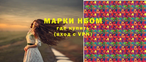 трава Корсаков