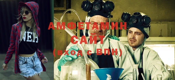 трава Корсаков