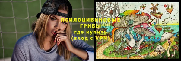 трава Корсаков