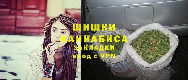 трава Корсаков