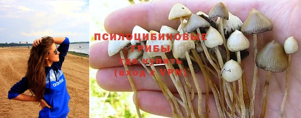 MESCALINE Кодинск