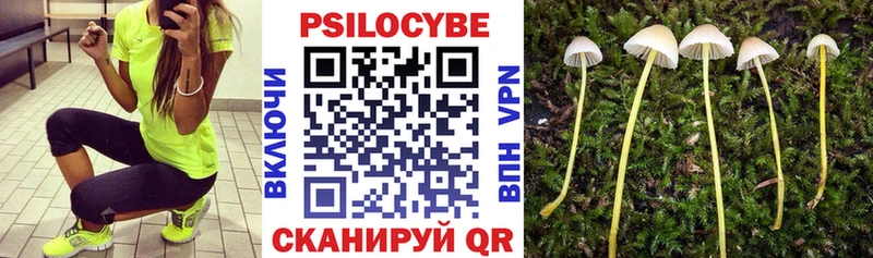 Псилоцибиновые грибы прущие грибы  наркотики  Удомля 