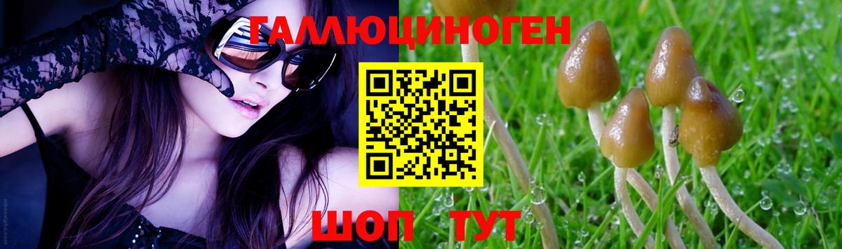 Псилоцибиновые грибы MAGIC MUSHROOMS  Вход с VPN  Удомля 